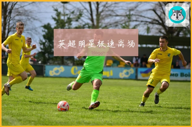 英超明星极速离场